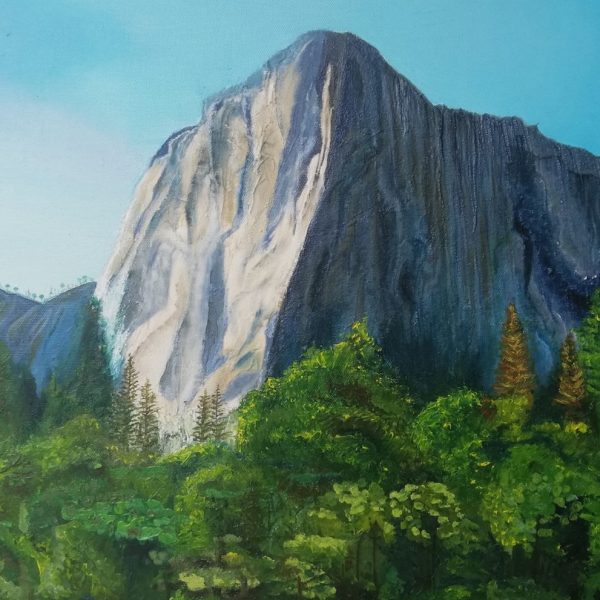 El Capitan, olio su tela - 60 x 50 cm - dettaglio